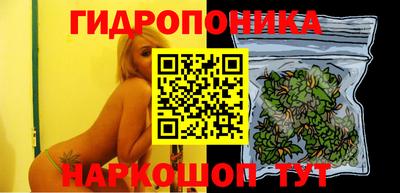 индика Нарткала