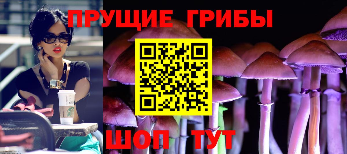 Галлюциногенные грибы прущие грибы  как найти   Вход с VPN  Чистополь  Псилоцибиновые грибы мицелий 