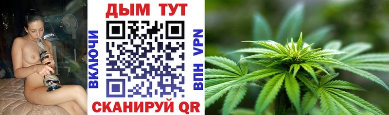 Марихуана Amnesia  как найти   Чистополь 
